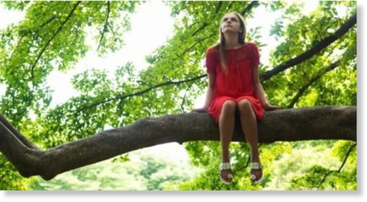 Исследование: Когда ребёнка окружают деревья, его мозг развивается лучше