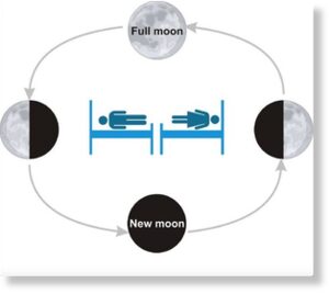 Ученые следили за сном добровольцев в течение лунного цикла