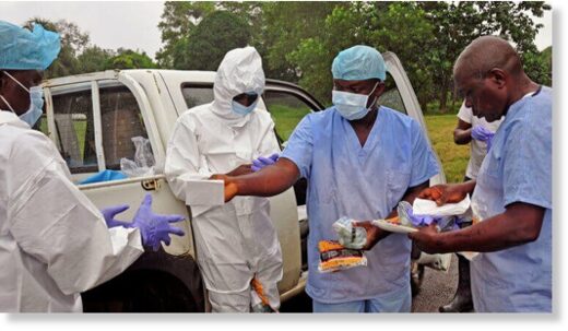 Вспышки эпидемии лихорадки Эбола периодически возникают в Африке