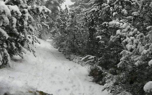 болгария в снегу