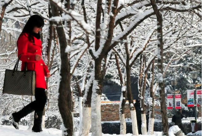 Ранний снегопад удивил жителей провинции Шэньси в Китае