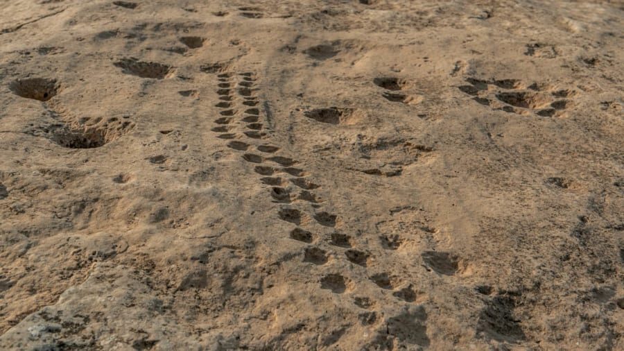 Загадочные символы обнаружили в пустыне Катара