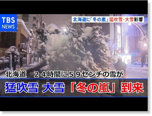 На Японию обрушились снежные бури: отменены десятки авиарейсов