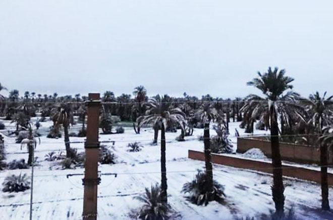 Morocco World News