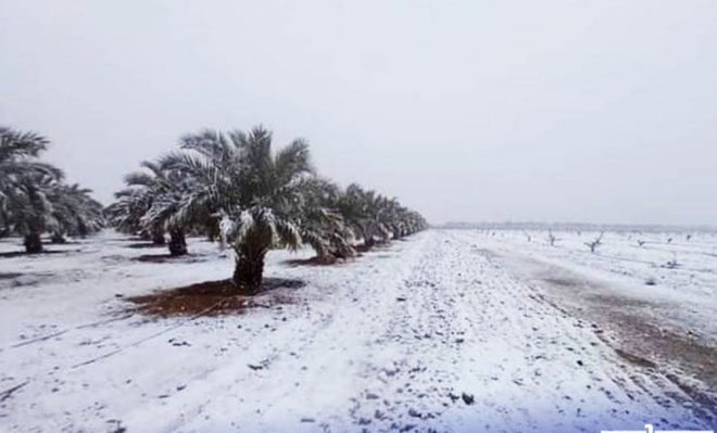 Morocco World News