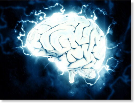 Мозг хранит память в электрическом поле
