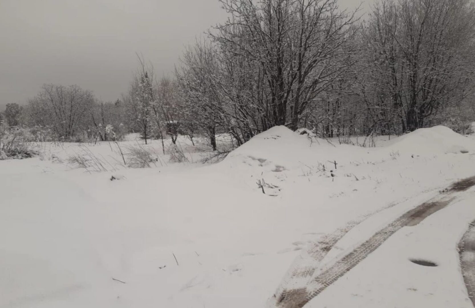 В окрестностях Красноярска резкое похолодание — дождь переходит в снег