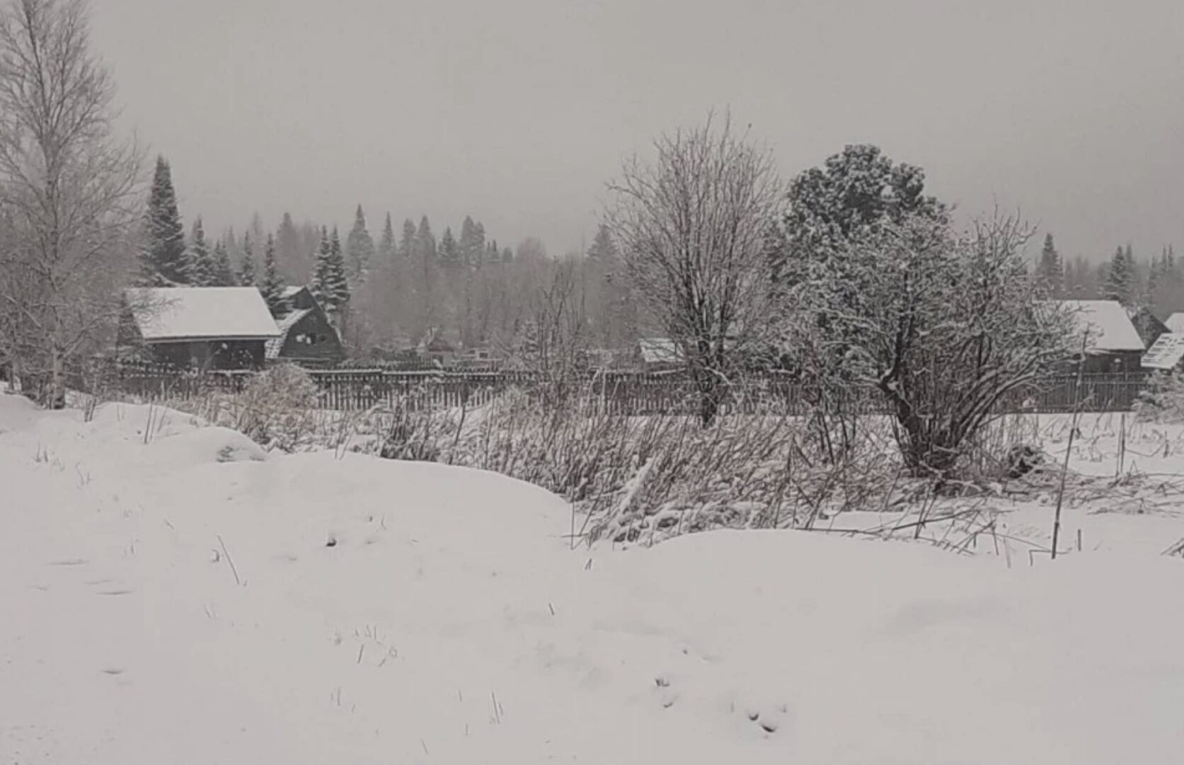 В окрестностях Красноярска резкое похолодание — дождь переходит в снег