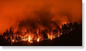 В Иркутской области за сутки ликвидировали более 20 природных пожаров