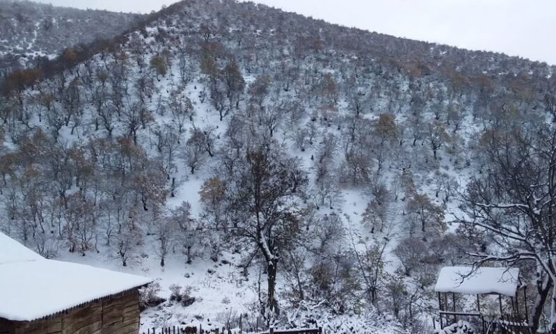 В азербайджанском Шахдаге выпал летний снег