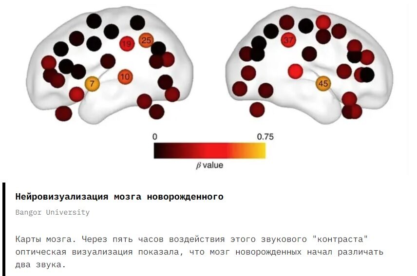 Новорожденный чувствует тонкие языковые различия в самые первые часы жизни