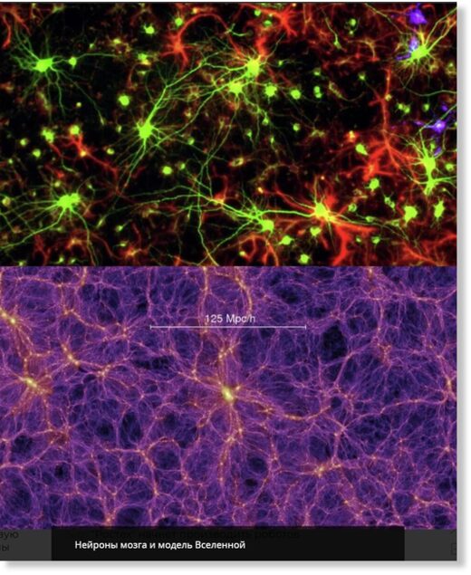 Нейроны мозга и модель Вселенной