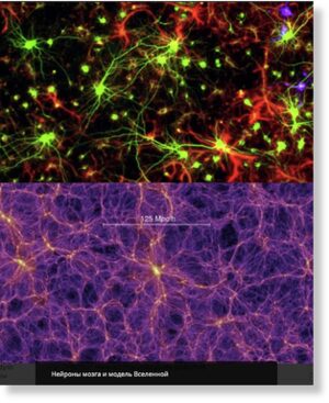 Нейроны мозга и модель Вселенной