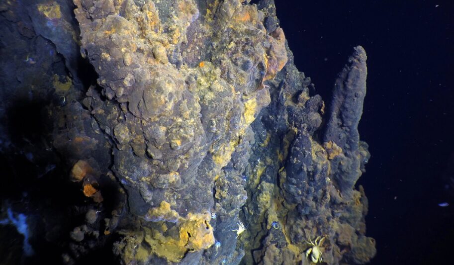 На дне Тихого океана нашли гигантское поле горячих источников
