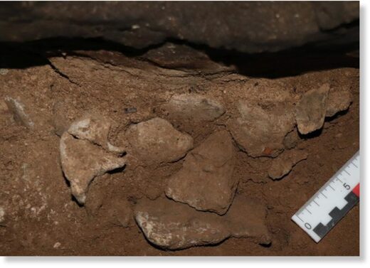 Процесс расчистки ямки с костями в Серпиевской-2 пещере (Челябинская область)