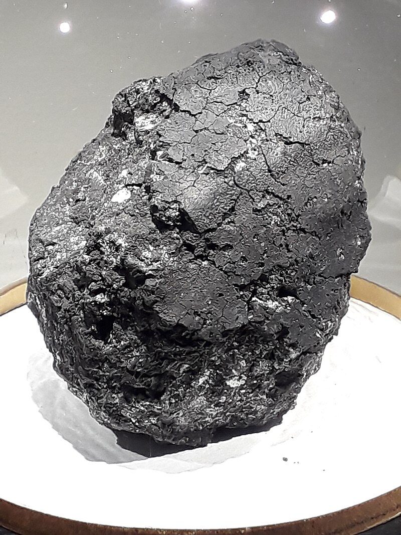 Eunostos A fragment of the Orgueil meteorite exposed in Montauban Museum​