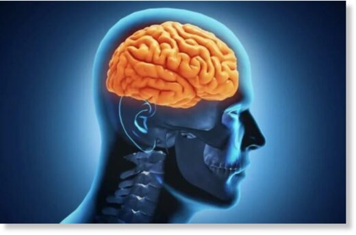 Что происходит в мозге человека, когда он устает от умственной работы