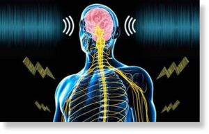 Звук плюс электрическая стимуляция тела могут лечить хроническую боль
