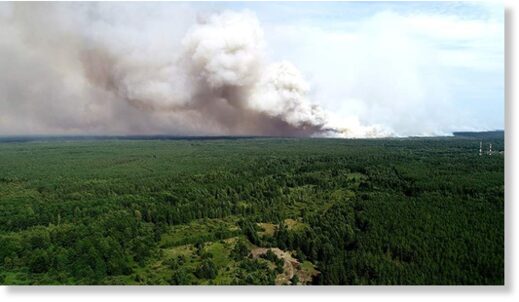 Площадь лесных пожаров в Рязанской области увеличилась почти до 17,5 тыс. га