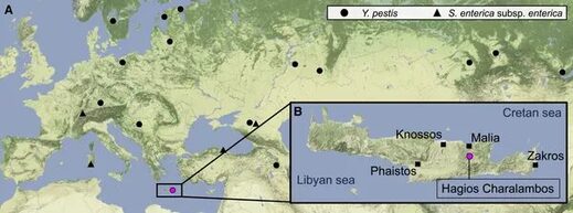 Карта Евразии с указанием генетически доказанных находок Yersinia pestis