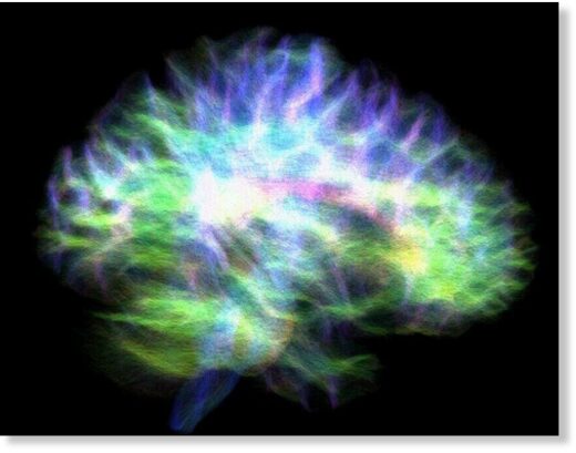 Изображение «электрической схемы» человеческого мозга, показывающее связи с гиппокампом