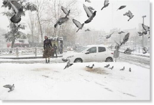 Десятки тысяч иранцев остались без отопления в условиях снегопадов и морозов