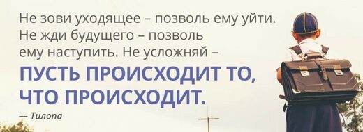 цитата