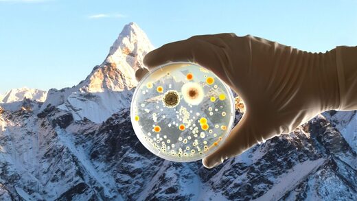 микробы в альпах