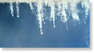 Кометная пыль в аэрогеле, собранная миссий Stardust
