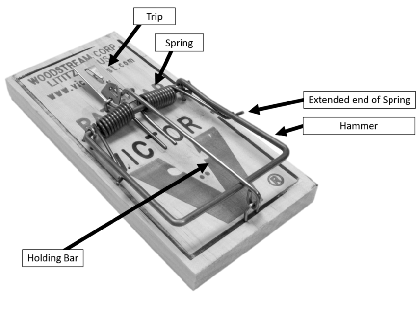 Нажмите, чтобы увеличить A mousetrap and its five interacting parts