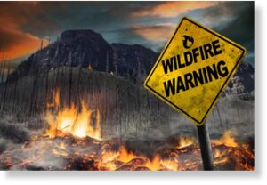 В Канаде площадь лесных пожаров превысила средние показатели в 10 раз