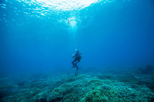 ocean