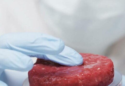 Искусственное мясо оказалось вреднее для экологии, чем натуральное