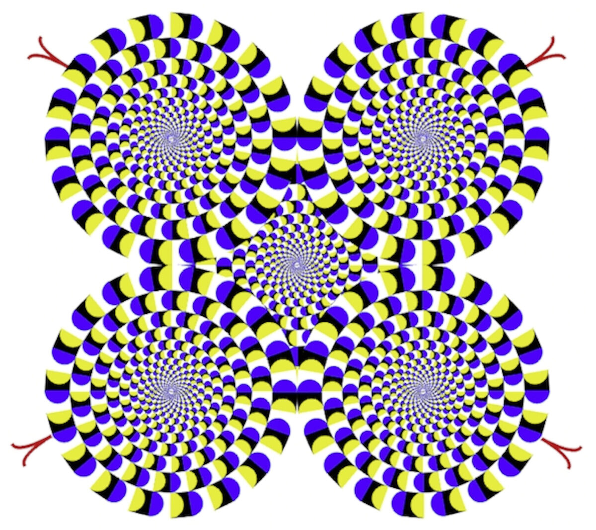 Вращение кругов на одной из иллюзий Китаоки происходит только в мозгу зрителя