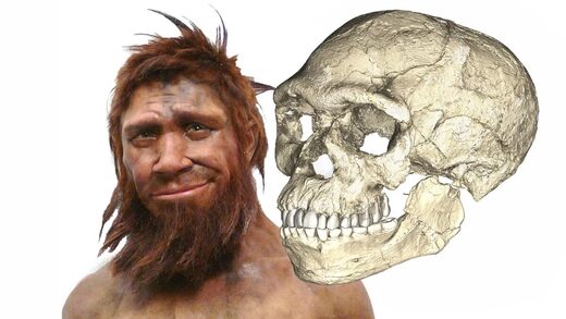 неандерталец