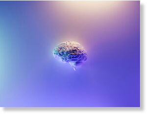Нейроны укрепляют память воспалением