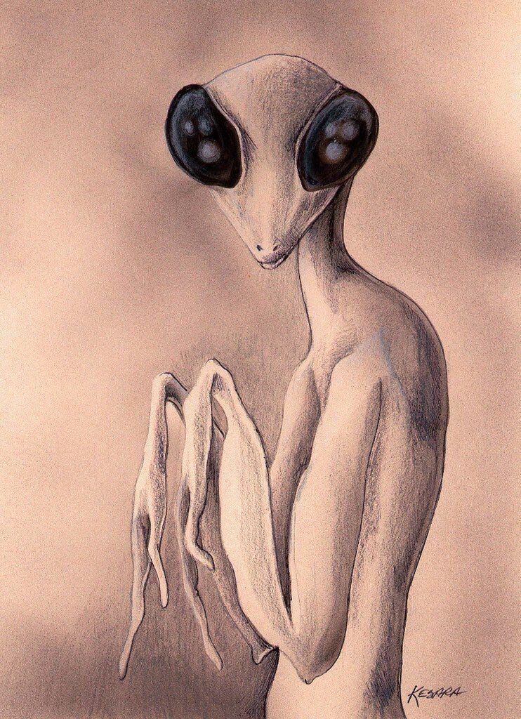 Нажмите, чтобы увеличить mantis