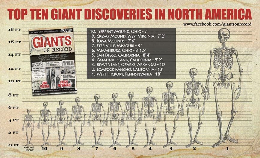Нажмите, чтобы увеличить giants