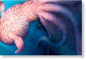 Реконструкция гигантского осьминога Nanaimoteuthis haggarti