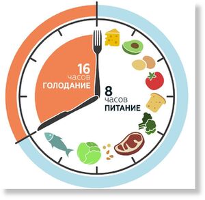 Нажмите, чтобы увеличить Интервальное голодание оказалось не хуже подсчета калорий — и оно значительно легче переносится