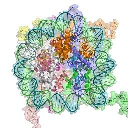О вирусной «мусорной» ДНК, о кетогенной диете, улучшающей ДНК, и о кометных «пинках» Epigenetics_beyond_the_human_g